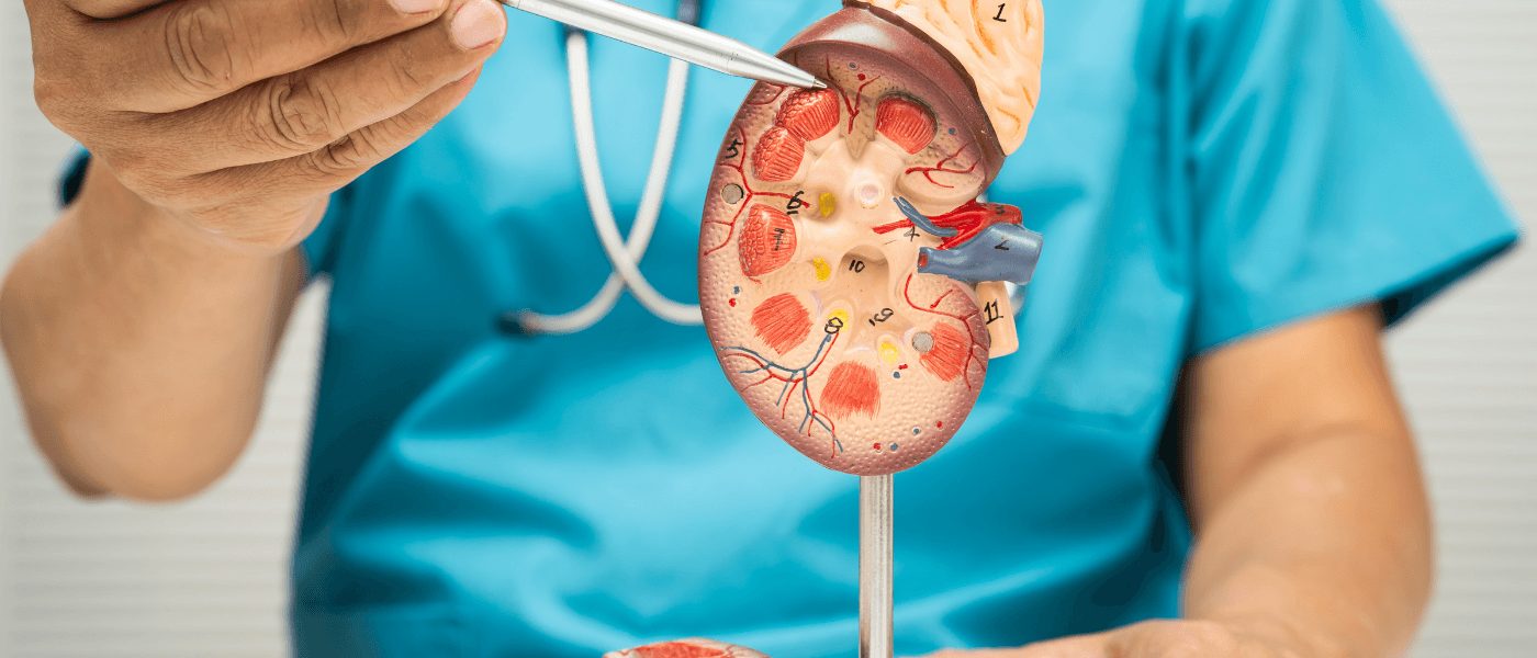 Can Peptides Cause Kidney Stones