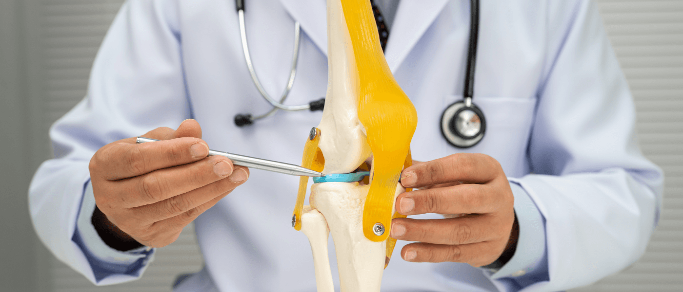 What Are Bovine Collagen Peptides
